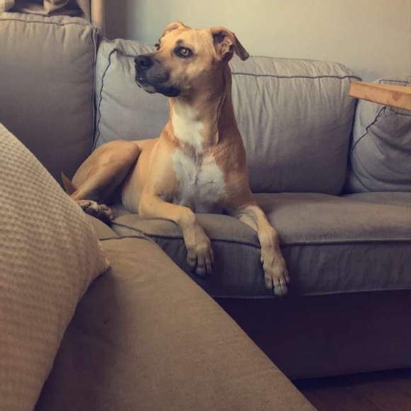 Meet your Posher, Tati - Picture 5 of 10